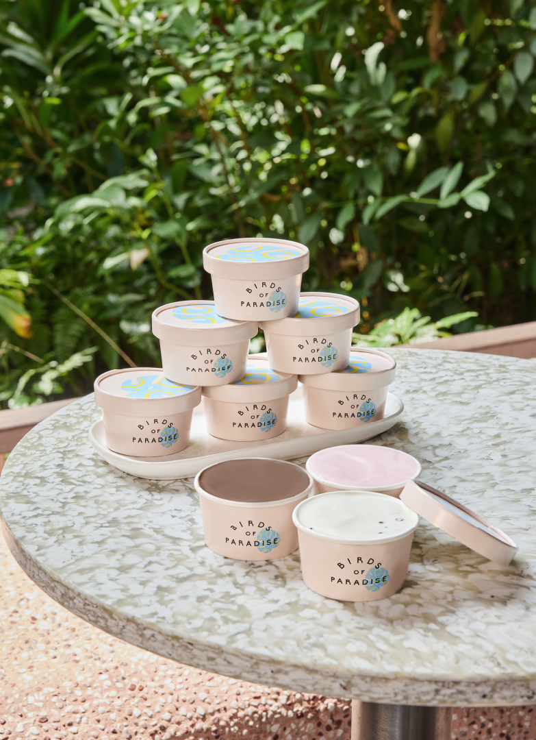 Gelato Party Cups with Large Chest Freezer