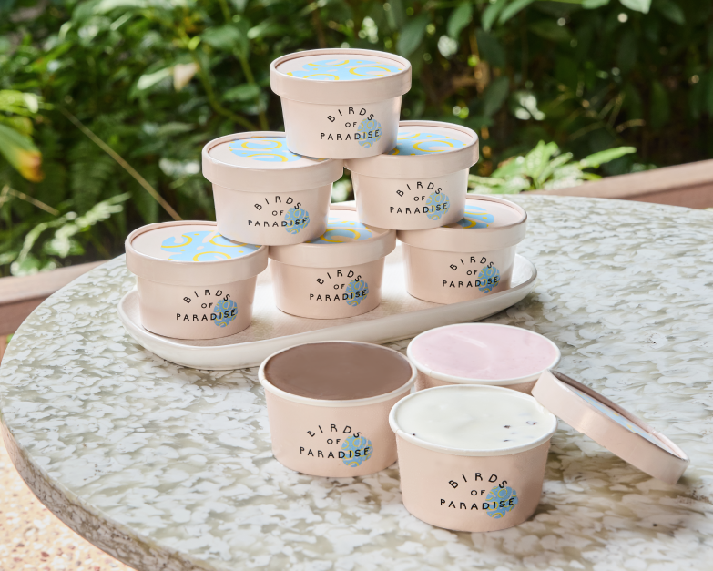 Gelato Party Cups with Regular Chest Freezer