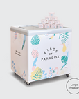 Gelato Party Cups with Large Chest Freezer